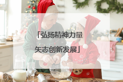 弘扬精神力量 矢志创新发展