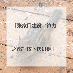 张家口建设“算力之都”按下快进键