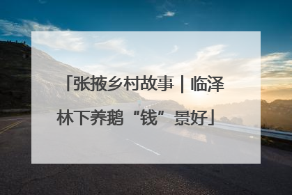 张掖乡村故事｜临泽林下养鹅“钱”景好