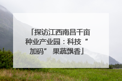 探访江西南昌千亩种业产业园：科技“加码” 果蔬飘香
