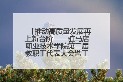 推动高质量发展再上新台阶——驻马店职业技术学院第二届教职工代表大会暨工会会员代表大会第四次会议成功召开