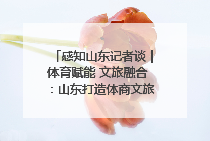 感知山东记者谈｜体育赋能 文旅融合：山东打造体商文旅融合发展新格局
