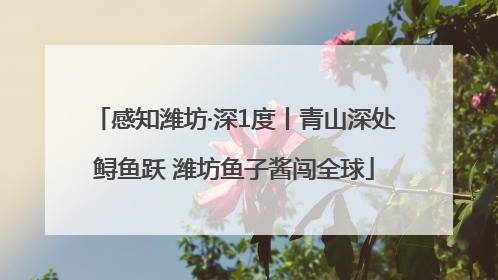 感知潍坊·深1度丨青山深处鲟鱼跃 潍坊鱼子酱闯全球