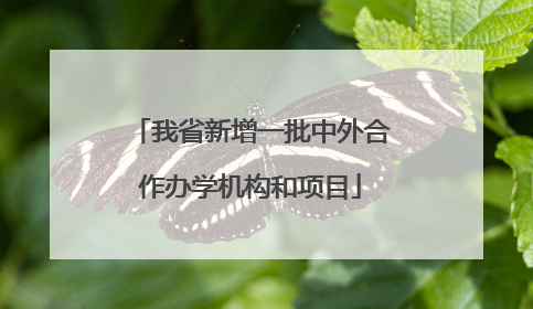 我省新增一批中外合作办学机构和项目
