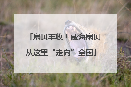 扇贝丰收！威海扇贝从这里“走向”全国
