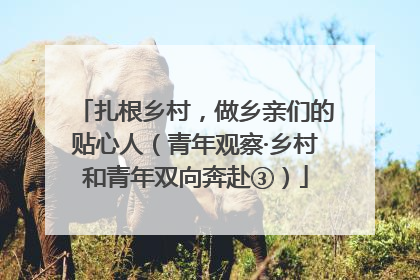 扎根乡村，做乡亲们的贴心人（青年观察·乡村和青年双向奔赴③）