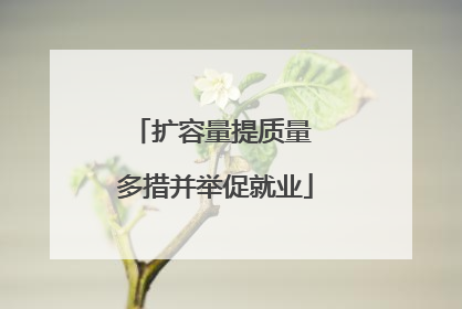 扩容量提质量 多措并举促就业