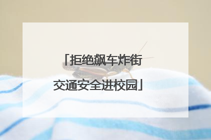 拒绝飙车炸街 交通安全进校园