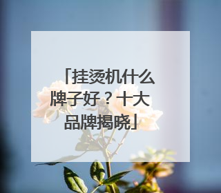 挂烫机什么牌子好？十大品牌揭晓
