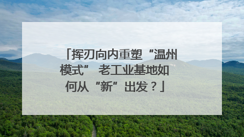 挥刃向内重塑“温州模式” 老工业基地如何从“新”出发？