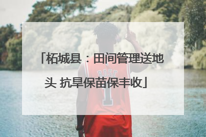 柘城县：田间管理送地头 抗旱保苗保丰收