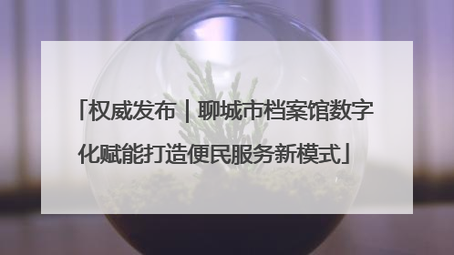 权威发布｜聊城市档案馆数字化赋能打造便民服务新模式