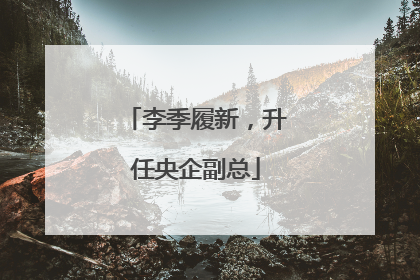 李季履新，升任央企副总