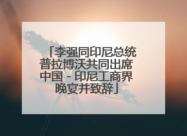 李强同印尼总统普拉博沃共同出席中国－印尼工商界晚宴并致辞