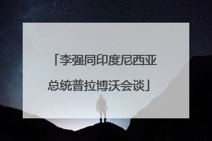 李强同印度尼西亚总统普拉博沃会谈