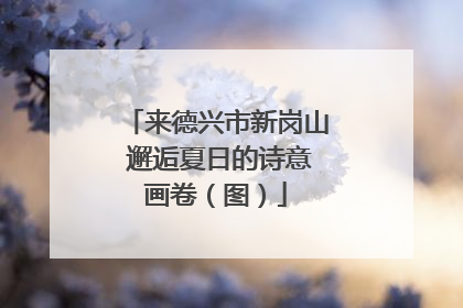 来德兴市新岗山 邂逅夏日的诗意画卷（图）