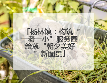 杨林镇：构筑“一老一小”服务圈 绘就“朝夕美好”新图景