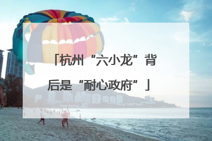 杭州“六小龙”背后是“耐心政府”