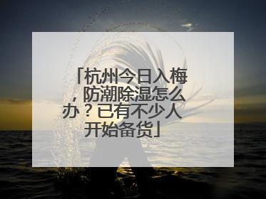 杭州今日入梅，防潮除湿怎么办？已有不少人开始备货