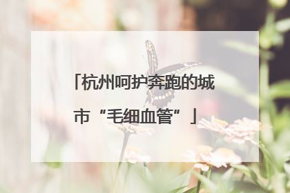 杭州呵护奔跑的城市“毛细血管”