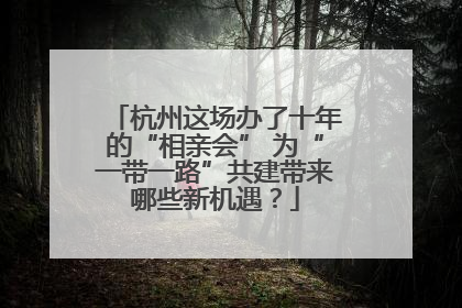 杭州这场办了十年的“相亲会” 为“一带一路”共建带来哪些新机遇？