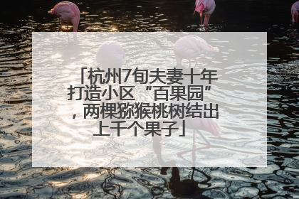 杭州7旬夫妻十年打造小区“百果园”，两棵猕猴桃树结出上千个果子