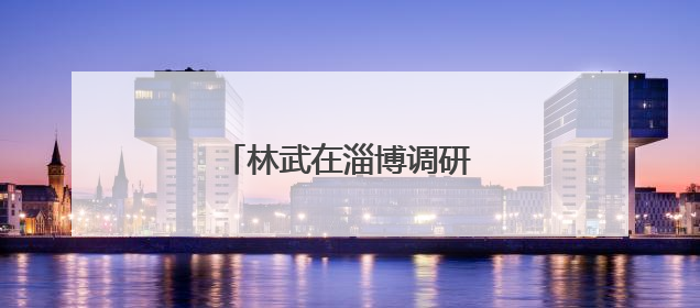 林武在淄博调研督导经济运行