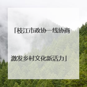 枝江市政协一线协商激发乡村文化新活力