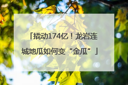 撬动174亿！龙岩连城地瓜如何变“金瓜”