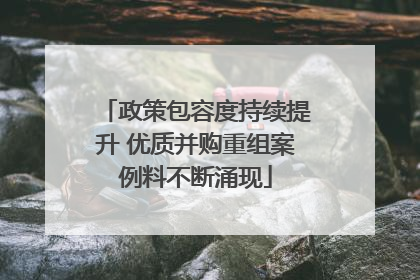 政策包容度持续提升 优质并购重组案例料不断涌现