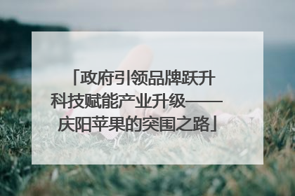 政府引领品牌跃升 科技赋能产业升级——庆阳苹果的突围之路
