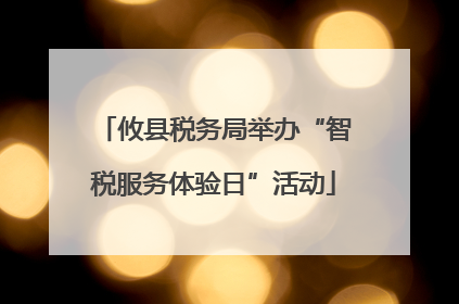 攸县税务局举办“智税服务体验日”活动