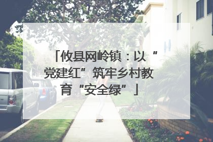 攸县网岭镇：以“党建红”筑牢乡村教育“安全绿”