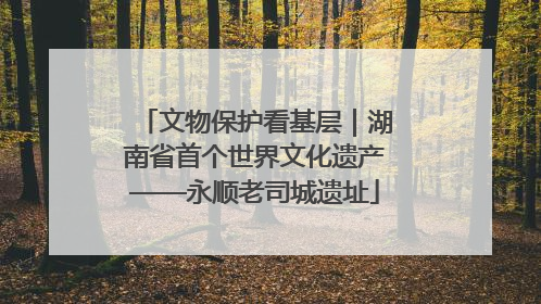 文物保护看基层｜湖南省首个世界文化遗产——永顺老司城遗址