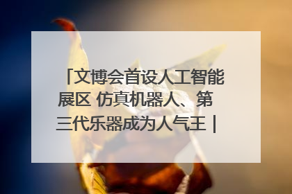 文博会首设人工智能展区 仿真机器人、第三代乐器成为人气王｜文博向“新”