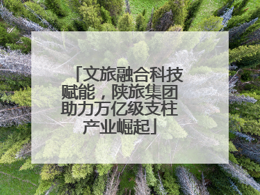 文旅融合科技赋能，陕旅集团助力万亿级支柱产业崛起