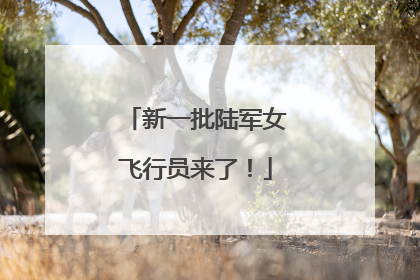 新一批陆军女飞行员来了！