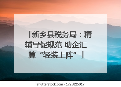 新乡县税务局：精辅导促规范 助企汇算“轻装上阵”
