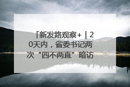 新发路观察+｜20天内，省委书记两次“四不两直”暗访，有何深意？