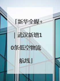 新华全媒+｜武汉新增10条低空物流航线