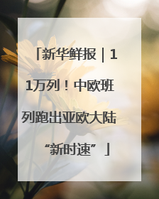 新华鲜报｜11万列！中欧班列跑出亚欧大陆“新时速”