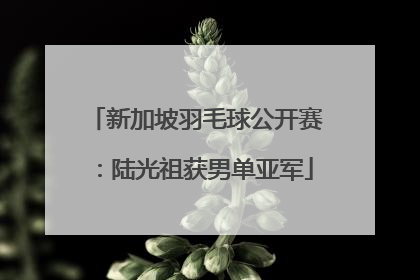 新加坡羽毛球公开赛：陆光祖获男单亚军