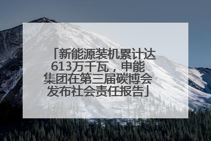 新能源装机累计达613万千瓦，申能集团在第三届碳博会发布社会责任报告