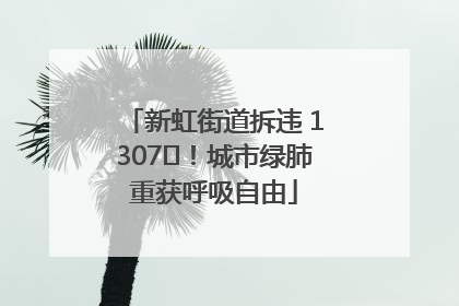 新虹街道拆违 1307㎡！城市绿肺重获呼吸自由