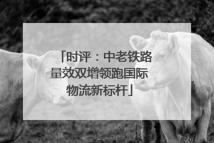时评：中老铁路量效双增领跑国际物流新标杆