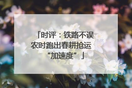 时评：铁路不误农时跑出春耕抢运“加速度”