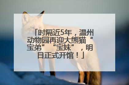时隔近5年，温州动物园再迎大熊猫“宝弟”“宝妹”，明日正式开馆！