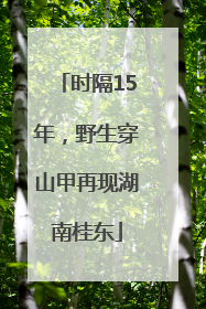 时隔15年，野生穿山甲再现湖南桂东