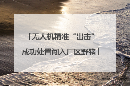 无人机精准“出击” 成功处置闯入厂区野猪