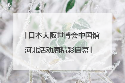 日本大阪世博会中国馆河北活动周精彩启幕
